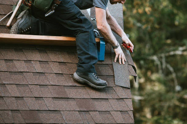 Best New Roof Installation  in Eddyville, IA